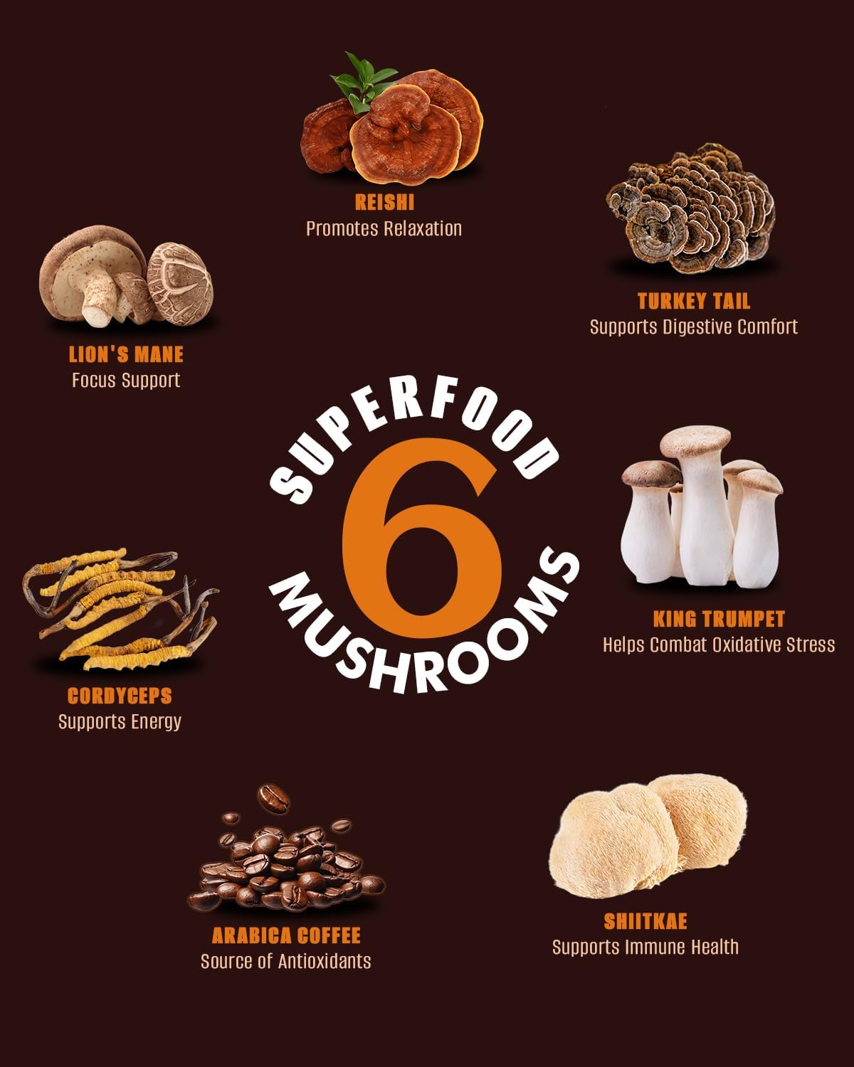 Mushroom Coffee, Instant Mushroom Coffee with Cordyceps, Reish, King Trumpet, Shitake, Turkey Tail, Lions Mane for Energy, Focus, Mood & Immune Support 210g